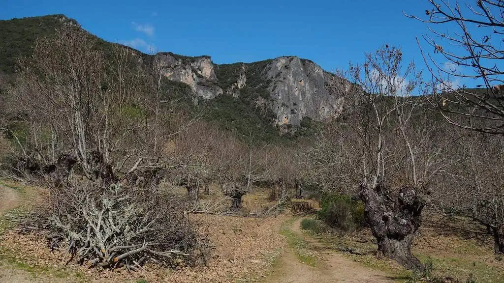 Parque Natural Serra da Enciña da Lastra